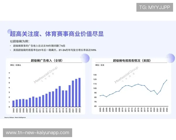 体育赞助：品牌与赛事联名营销成功案例分析，体育赛事赞助商参与方案
